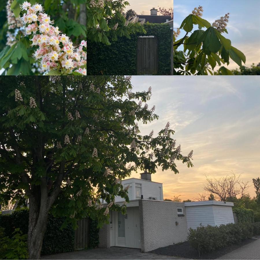 Vakantiebungalow Mee Naar Ouddorp Aan Zee Екстериор снимка